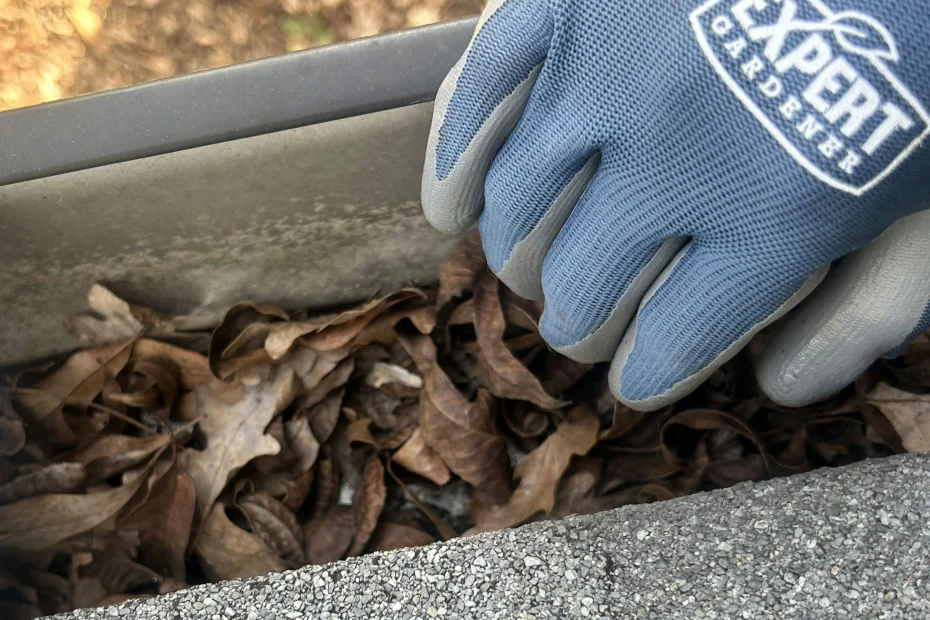 Gutter Cleaning Lorton