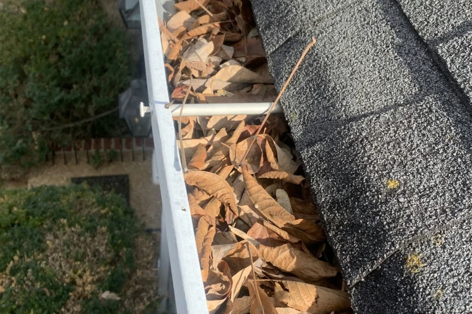 Gutter Cleaning Lorton