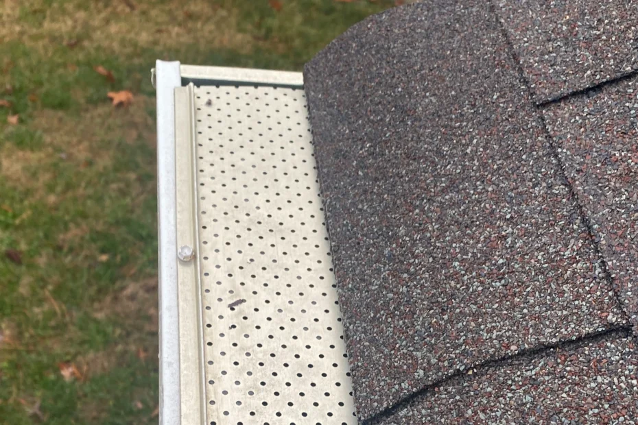 Gutter Cleaning Lorton