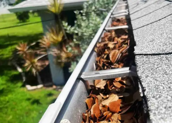 Gutter Cleaning Lorton home page